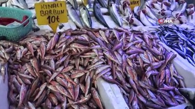 et urunleri -  Sıcak havalar balık fiyatlarını düşürdü Videosu