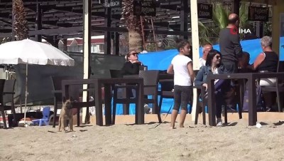 gunesli hava -  Antalya’ya yaz erken geldi, yerli ve yabancı turistler denizin keyfini çıkardı Videosu