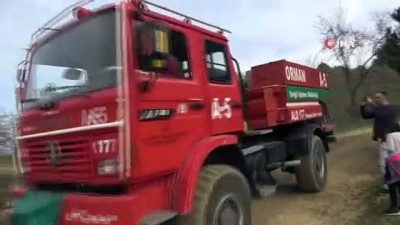  Zonguldak'ta orman yangını