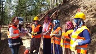  Kunduz Ormanları kadınlara emanet