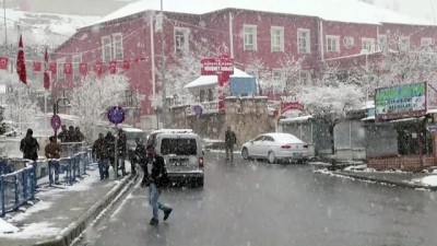 Başkale'de kar yağışı yaşamı olumsuz etkiledi - VAN