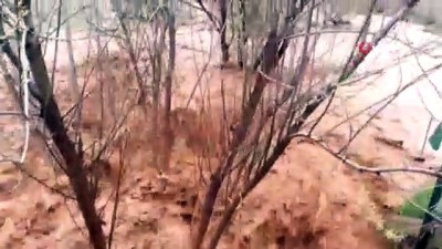 saganak yagis -   Şanlıurfa kırsalını sel vurdu Videosu