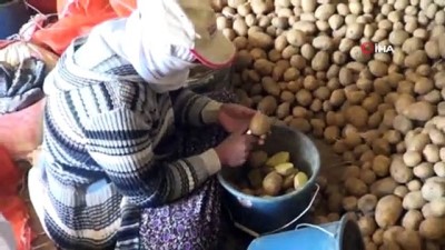 oyaca -  “Üretim durursa hayat durur” diyerek patates ekimini sürdürüyorlar Videosu