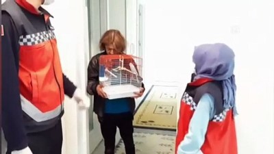 muhabbet kusu - Yaşlı teyzenin muhabbet kuşu isteğini belediye ekipleri karşıladı - İZMİR Videosu