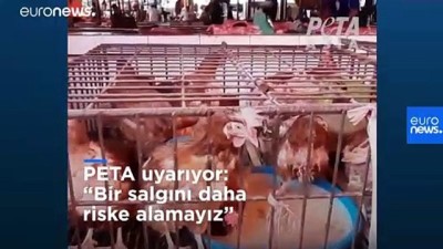 euro - PETA Asya'da hala açık vahşi hayvan pazarları için uyardı: Bir salgın riski daha alamayız | Video Videosu