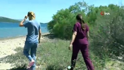 uzunlu -  Issız Ada’da köpek var ihbarı ekipleri seferber etti Videosu