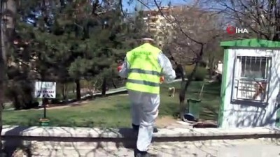  Çankaya Belediyesi, sokak hayvanlarını unutmadı