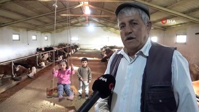  Sokağa çıkamayan dede ve torunları, ahırda hayvanlar ile vakit  geçiriyor