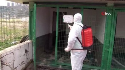  Sokak hayvanları korona virüsle mücadele döneminde unutulmuyor