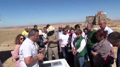  Zerzevan Kalesi ve Mithraeum UNESCO Dünya Mirası Geçici Listesine girdi