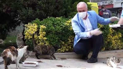 zabita -  Akdeniz Belediyesi sokak hayvanlarını unutmadı Videosu