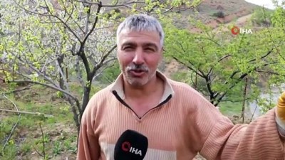 demirli -  Herkes evde onlar tarlada Videosu