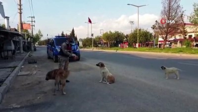 ihbar hatti -  Jandarma sokak hayvanlarını unutmadı Videosu