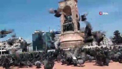 kalaba -  Polisler Taksim Meydanı’nda güvercinleri böyle besledi Videosu