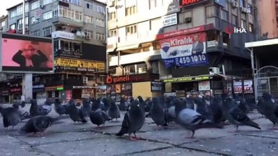 kalaba -  Sokağa çıkma kısıtlamasında polis, aç kalan güvercinleri elleriyle besledi Videosu