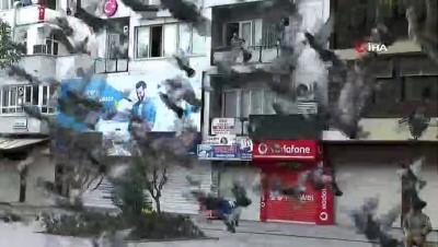 kalaba -  Vatandaşlar balkondan yem attı görevliler besledi Videosu