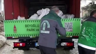 Budanan dallar ihtiyaç sahiplerine yakacak oluyor - İSTANBUL