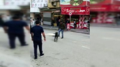 futbol maci -  Sokakta kimseyi bulamadı, köpekle futbol oynadı Videosu