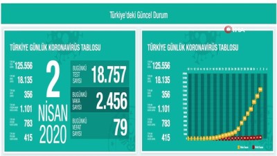  Türkiye'de son 24 saatte korona virüsten 79 kişi hayatını kaybetti, toplam can kaybı 356'ya yükseldi