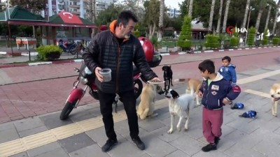 hayvan haklari -  Zor günler yaşayan sokak köpeklerine mama desteği Videosu