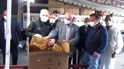 tarim urunu -   Bafra'da tütün alımları başladı Videosu