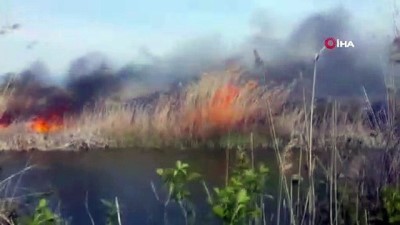 gesi -  ETNO sporlarının yapılacağı bölgede sazlık yangını Videosu