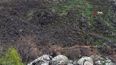  PKK'lı teröristler tarafından araziye tuzaklanan patlayıcı böyle imha edildi