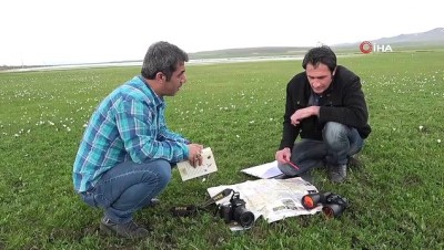 toplanti -  Muş Ovası, zengin kuş popülasyonuna ev sahipliği yapıyor Videosu