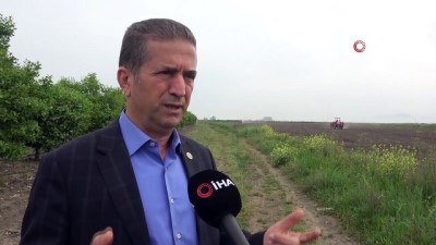 sanayi sektoru -  Çukurova'da pamuk toprakla buluştu, çiftçi destek bekliyor Videosu