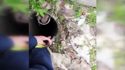 halkali -  Kuyuya düşen yavru keçiyi itfaiye kurtardı Videosu