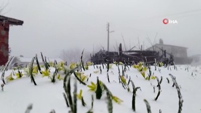 kar manzaralari -  Tokat'ın Başçiftlik ilçesi beyaza büründü Videosu