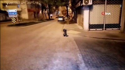 trol -  Sokağa çıkma kısıtlaması başladı, sokaklar boş kaldı Videosu