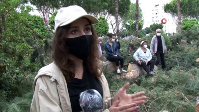 zeytin agaci -  Antalya’da sitede ağaç kesim gerginliği Videosu
