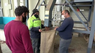 bitkisel urun -  Korona Türk fındığına yaradı Videosu
