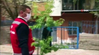 yasli kadin -  Evinden çıkamayan yaşlı kadın sosyal destek grubundan fidan istedi Videosu