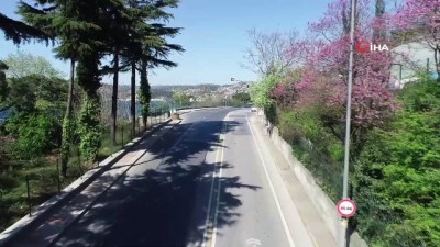 erguvan -  Korona günlerinde erguvanların açmasıyla İstanbul Boğazı rengarenk oldu Videosu