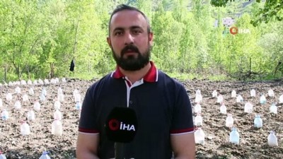  Fideleri zarar görmesin diye pet şişelerle koruyor