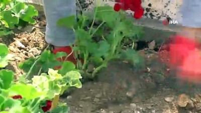 gubre -  Bodrum çiçeklerle donatılıyor Videosu