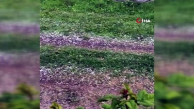 saganak yagis -  Iğdır'da kuvvetli fırtına sonrası dolu yağdı Videosu
