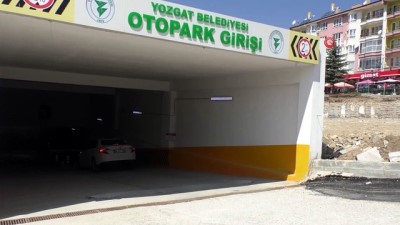  Otoparkın içine yuva yapan kuş ilgi odağı oldu