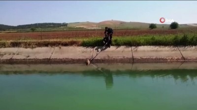 sokak kopegi -  Bozova’da kanala düşen köpek kurtarıldı Videosu