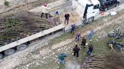  1000 adet fidan Tatlısu Köyünde toprakla buluşturuldu