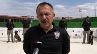  Bu kez ‘Evde kal’ çağrısı, dedektör köpeklerden geldi