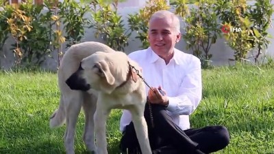  Denizli’de 2 bin 500 sokak hayvanını sahiplendirdi