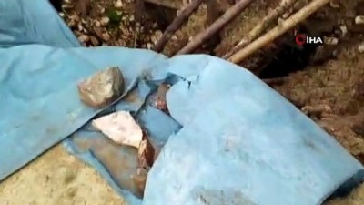  Siirt’te aşırı yağışlardan dolayı bir ahır çöktü, çok sayıda hayvan telef oldu