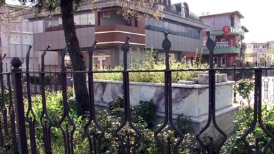  Yolun ortasında tek kaldı, görenler şaşkına dönüyor