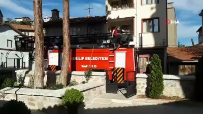  Ağaçta mahsur kalan kediyi itfaiye kurtardı