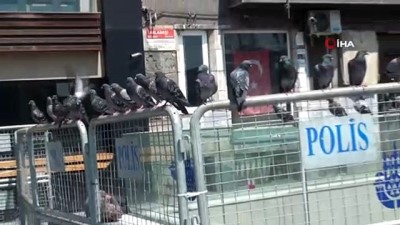 bulduk -  Belediye görevlisi Taksim Meydanı'nda aç kalan güvercinleri unutmadı Videosu