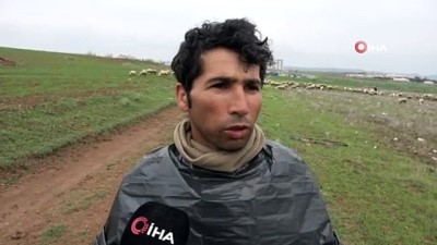  Çobanlar 1 Mayıs'ta çalışmaya devam ediyor