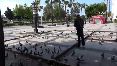 sokaga cikma yasagi -  Kuşların yem mücadelesi Videosu